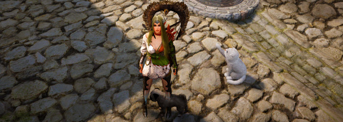 Five Top Beginner Tips to Auto Fishing in Black Desert Online 2 bdo pet slider