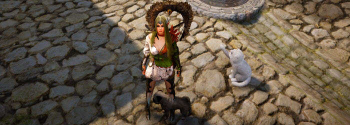 bdo pet slider