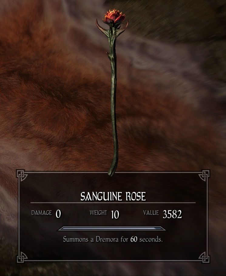 Sanguine Rose